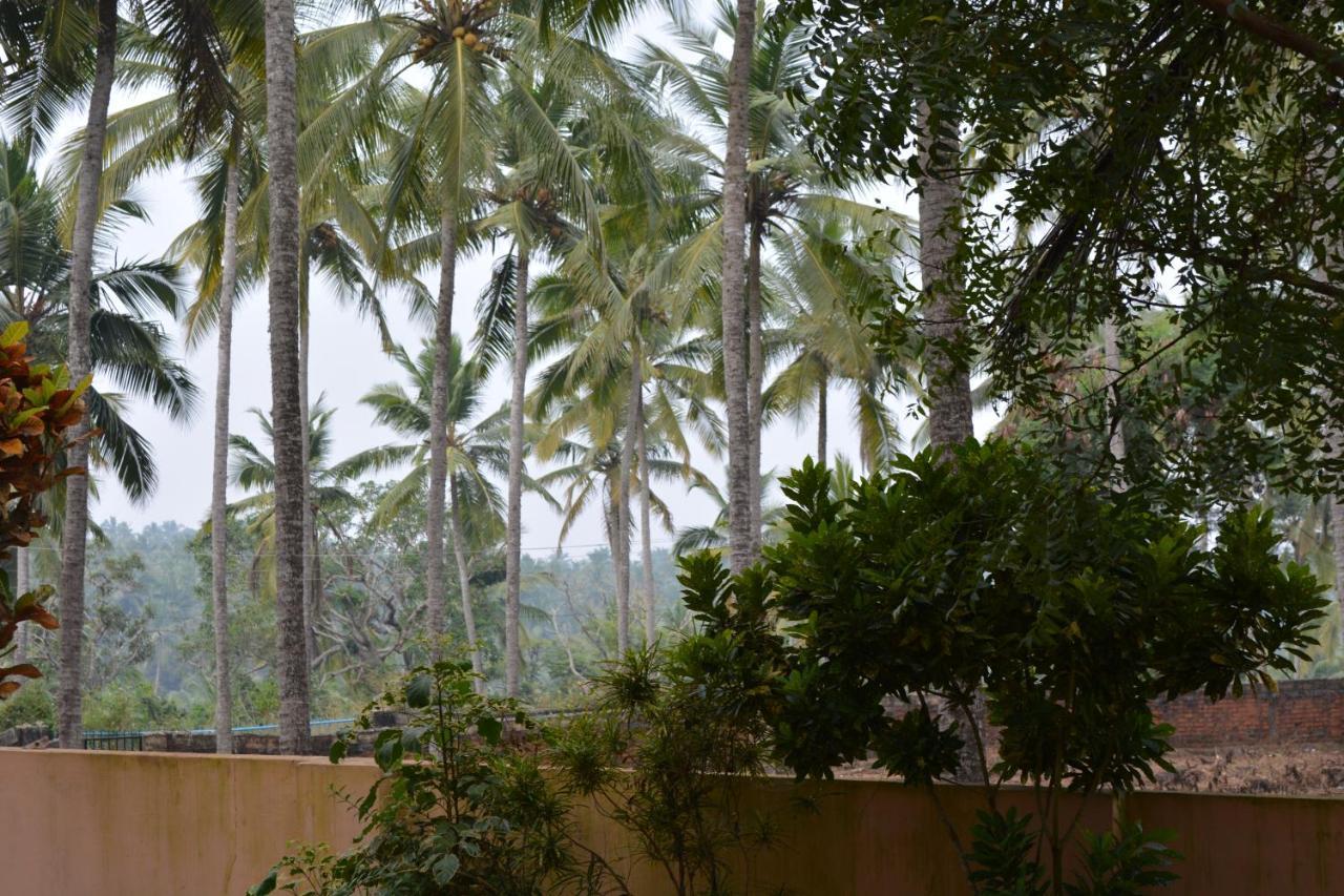 Indeevaram Apartments Kovalam Dış mekan fotoğraf